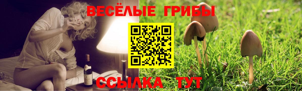 Пугачёв  Галлюциногенные грибы GOLDEN TEACHER  Вход с VPN 